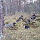 Fotka nr 5 z 15