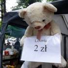 zdjęcie nr 9