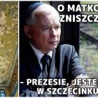 Fotka nr 0 z 17