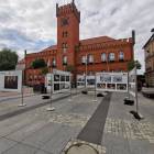 zdjęcie nr 17