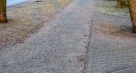Fotka nr 1 z 8