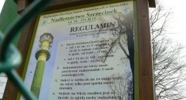 zdjęcie nr 8