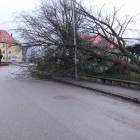 zdjęcie nr 17