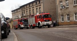 Fotka nr 5 z 6