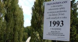 Fotka nr 3 z 4