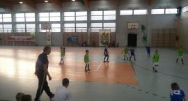 Fotka nr 5 z 13