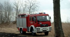 Fotka nr 4 z 5