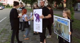 zdjęcie nr 14