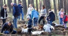 zdjęcie nr 29