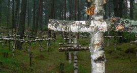 zdjęcie nr 8