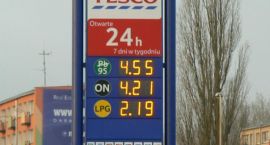 zdjęcie nr 7