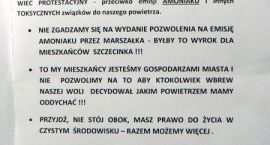 zdjęcie nr 7