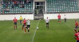 zdjęcie nr 15