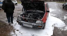 Fotka nr 2 z 3