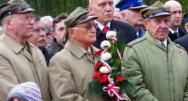 zdjęcie nr 13