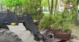 Fotka nr 5 z 12