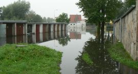 zdjęcie nr 14