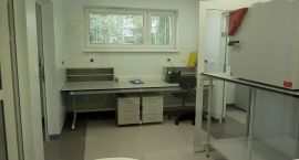 zdjęcie nr 31