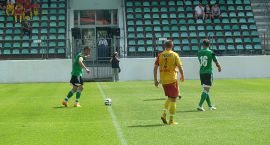 zdjęcie nr 12