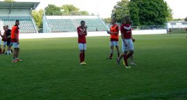 zdjęcie nr 19