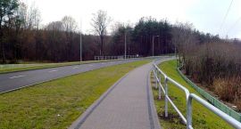 zdjęcie nr 7