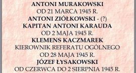 zdjęcie nr 14