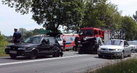 zdjęcie nr 7