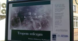 Fotka nr 0 z 6