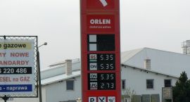 zdjęcie nr 8