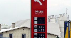 zdjęcie nr 7