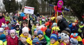 zdjęcie nr 19