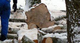 zdjęcie nr 11