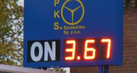Fotka nr 3 z 8