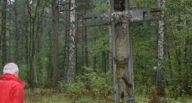 zdjęcie nr 16