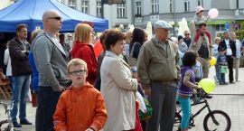 zdjęcie nr 9