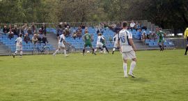 zdjęcie nr 10