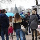 zdjęcie nr 8