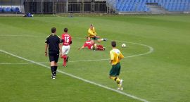 Fotka nr 2 z 10