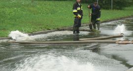 Fotka nr 4 z 81