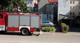 Fotka nr 5 z 11
