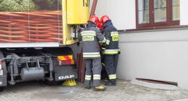 Fotka nr 4 z 5