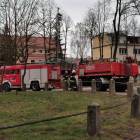 Fotka nr 4 z 12