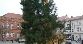 zdjęcie nr 8