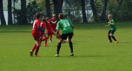 zdjęcie nr 7