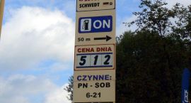 zdjęcie nr 8