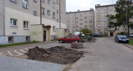zdjęcie nr 7