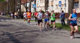 zdjęcie nr 141