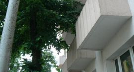 zdjęcie nr 8