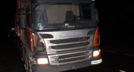 Fotka nr 2 z 7
