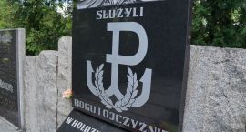 Fotka nr 0 z 14